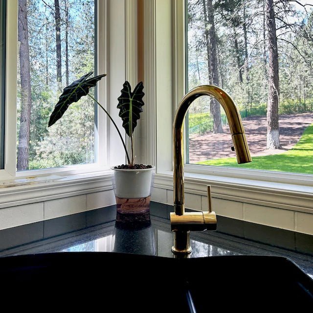 Unlacquered Brass Pull-Down Kitchen Faucet – Mixer Handle, Flexible Sprayer, 17" Height - The House Of Brass
